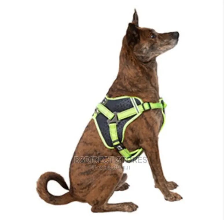 3 Peaks X- Trail Dog Reflective Trim Harness Grey MEDIUM