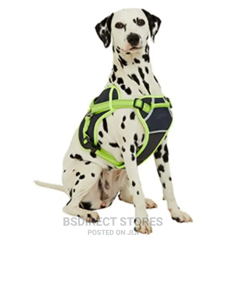 3 Peaks LARGE Grey X- Trail Dog Reflective Trim Harness