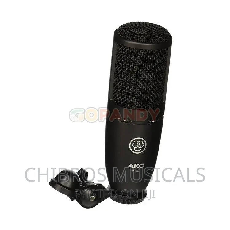 AKG P120 High Performance Recording Microphone