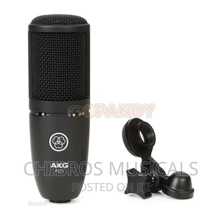 AKG P120 High Performance Recording Microphone