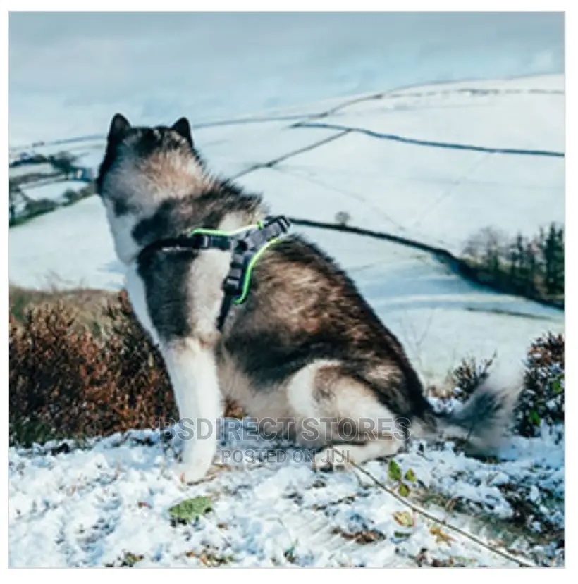 3 Peaks Grey LARGE Lightweight Step- In Reflective Harness