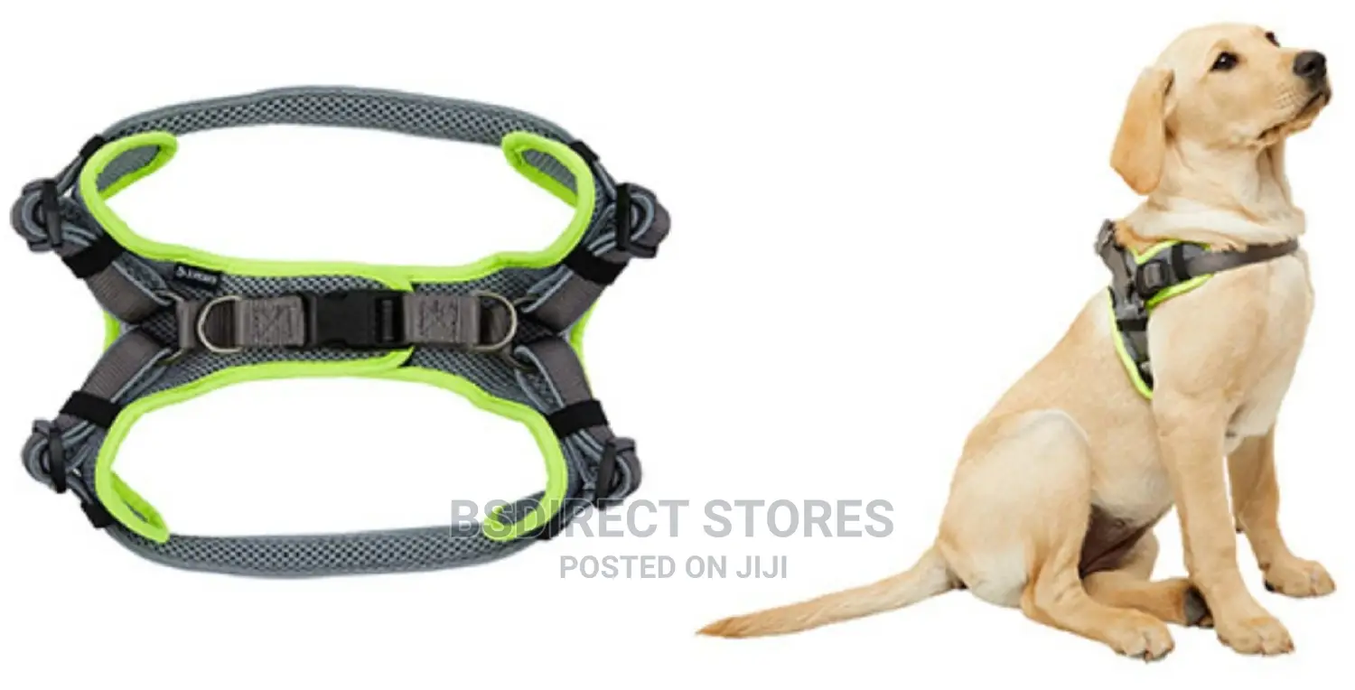 3 Peaks Grey LARGE Lightweight Step- In Reflective Harness