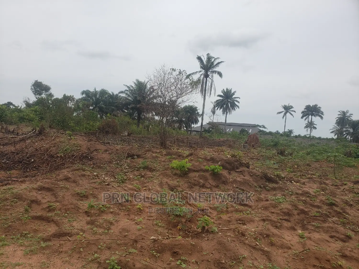 Plots Of Lands Available At Mgbirichi Waiting For A Buyer.