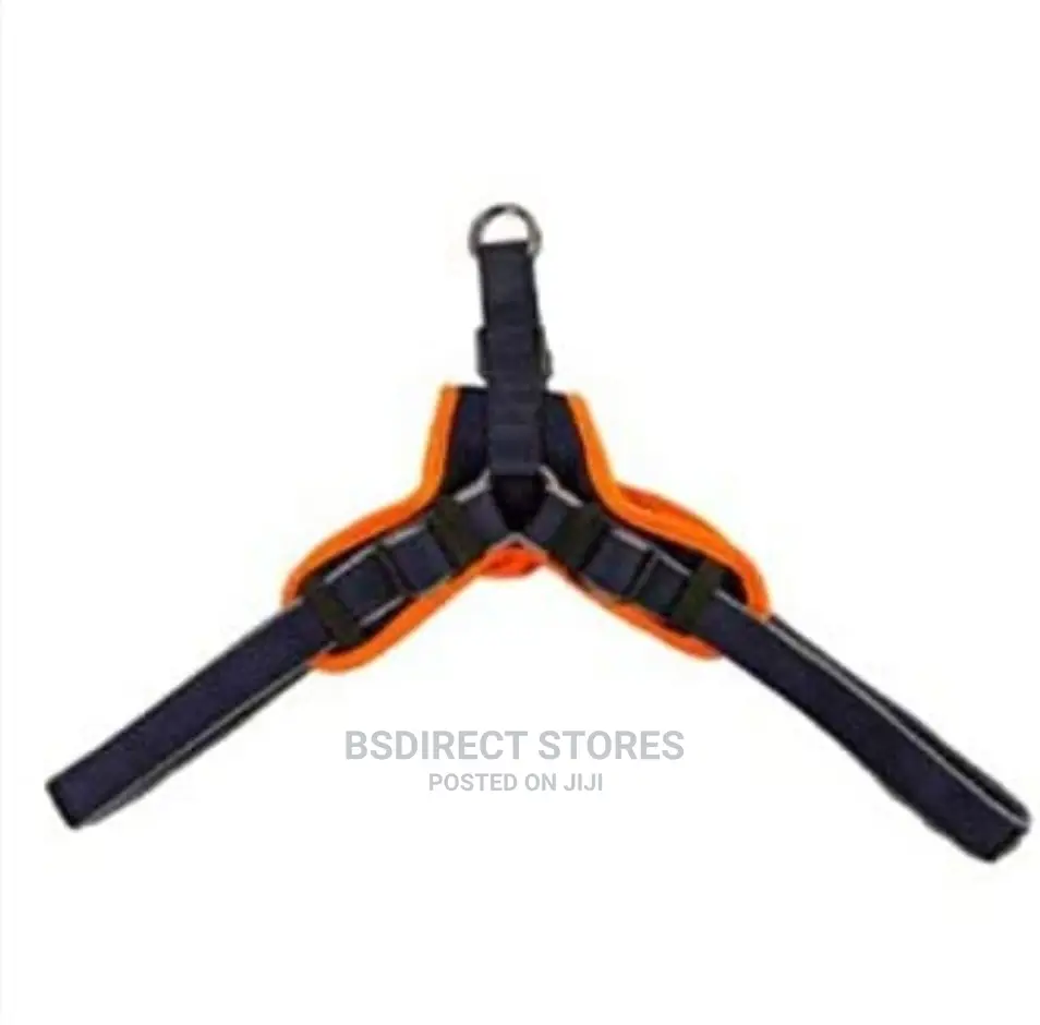 3 Peaks ORANGE LARGE Lightweight Step- In Reflective Harness