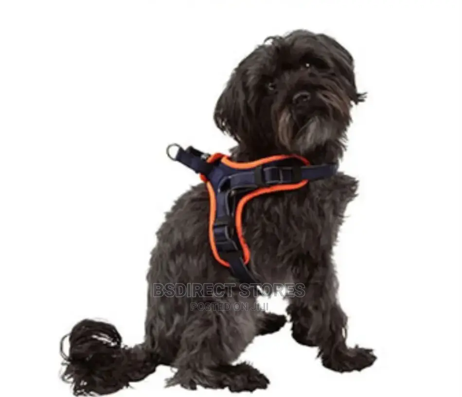 3 Peaks ORANGE LARGE Lightweight Step- In Reflective Harness