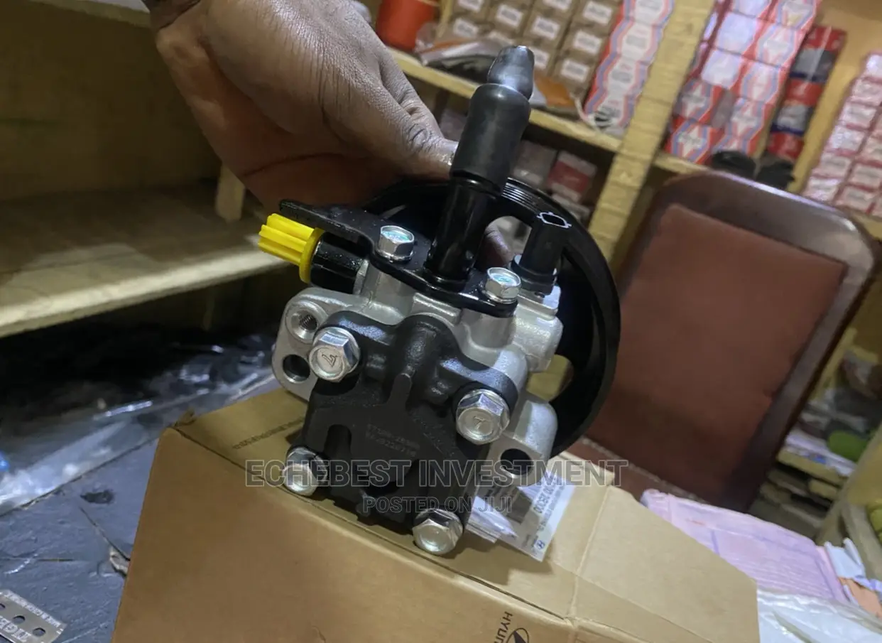Power Steering Pump Santa Fe 05-09