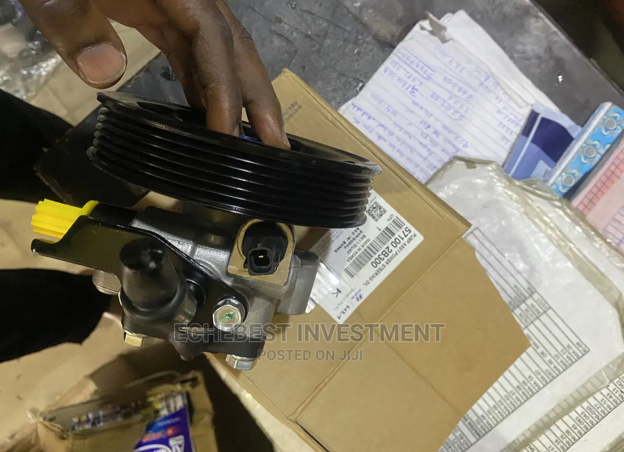 Power Steering Pump Santa Fe 05-09