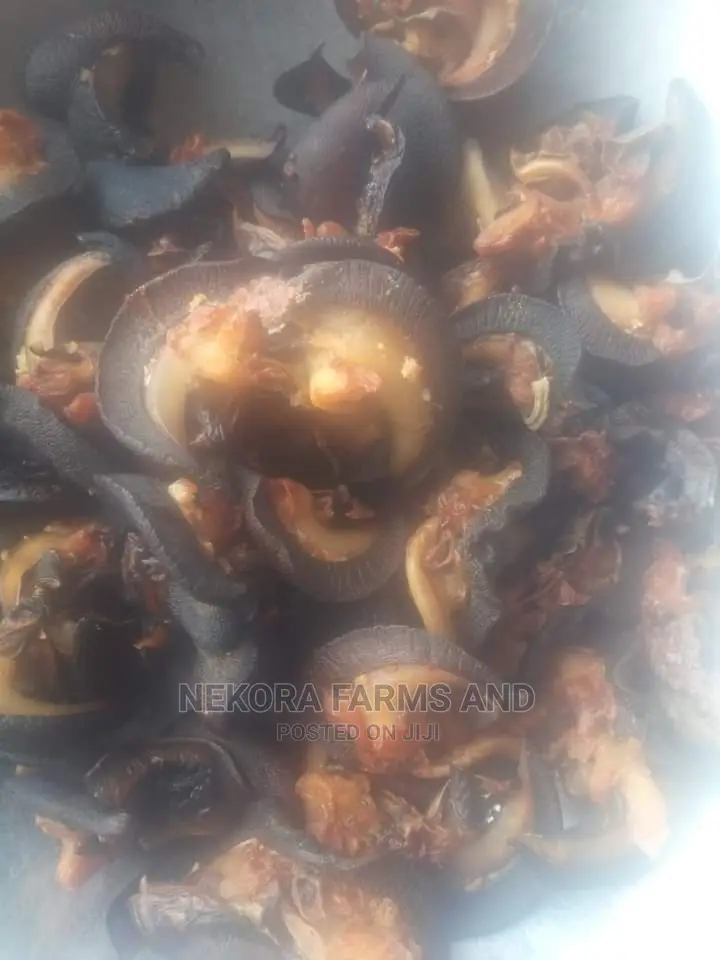 Oven Dried Snails- Jumbo (50pieces)