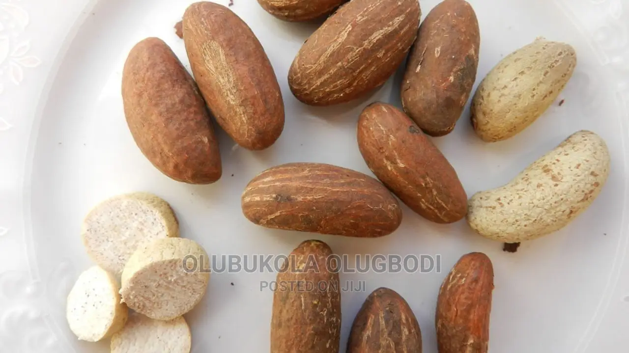 Bitterkola Seedlings