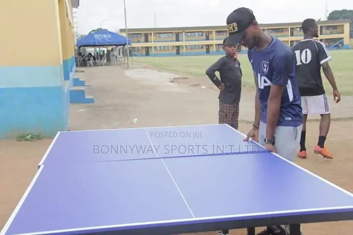 Outdoor Table Tennis Board,Product Name Dyoung