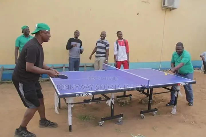 Outdoor Table Tennis Board,Product Name Dyoung
