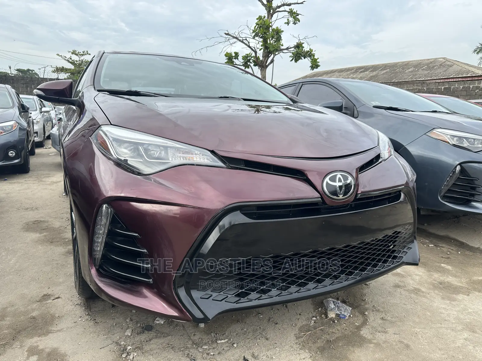 Toyota Corolla XLE (1.8L 4cyl 2A) 2018 Brown