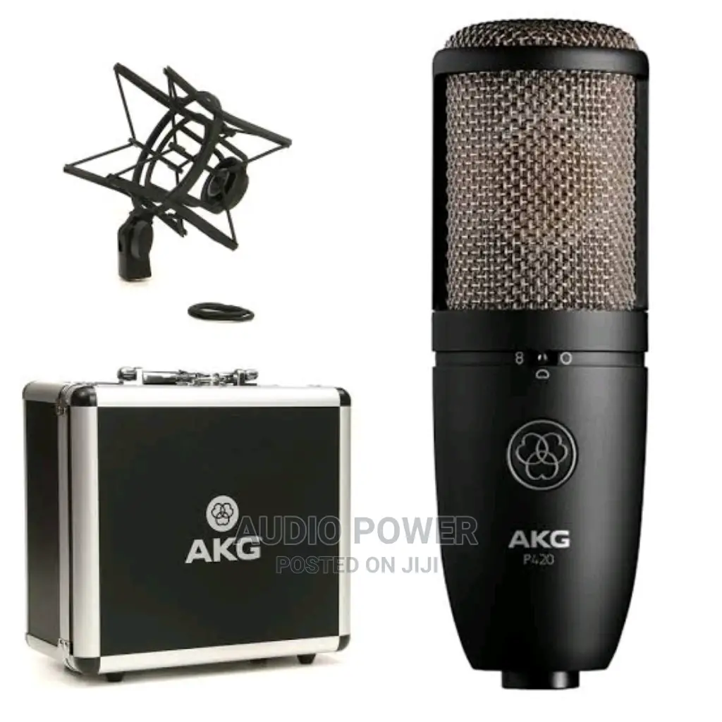 AKG P420 Studio Microphone