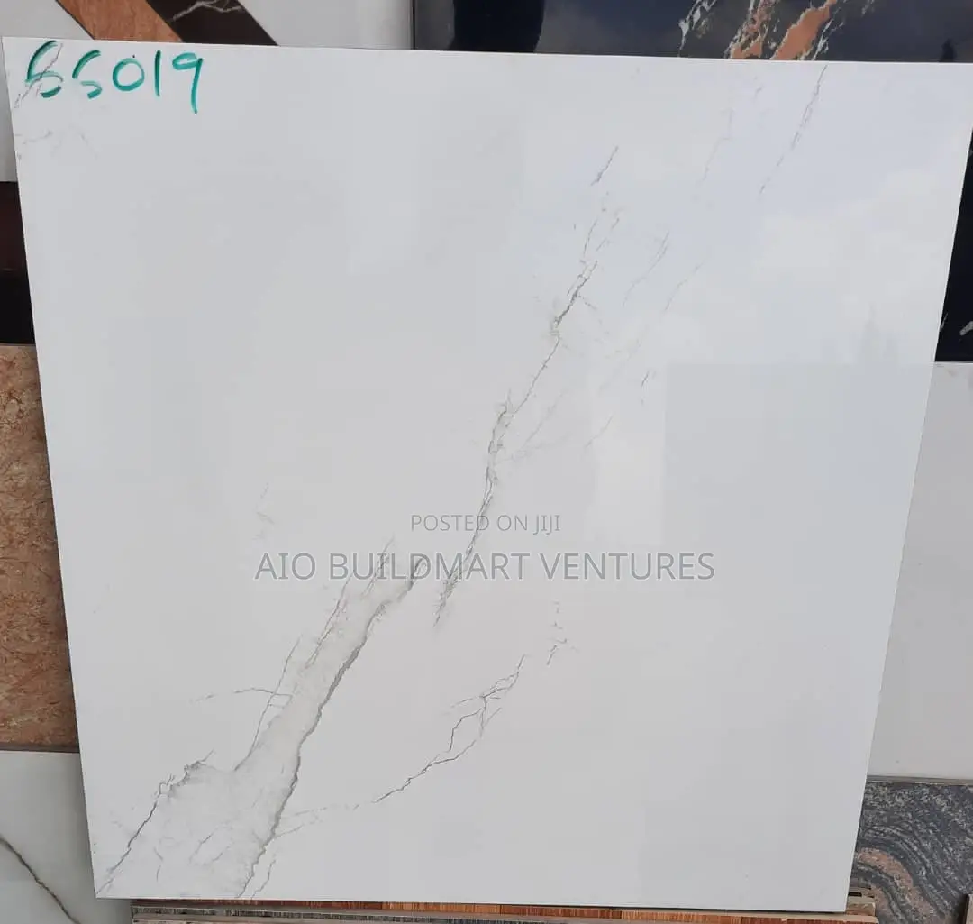 60 X 60 Polish Floor Tiles
