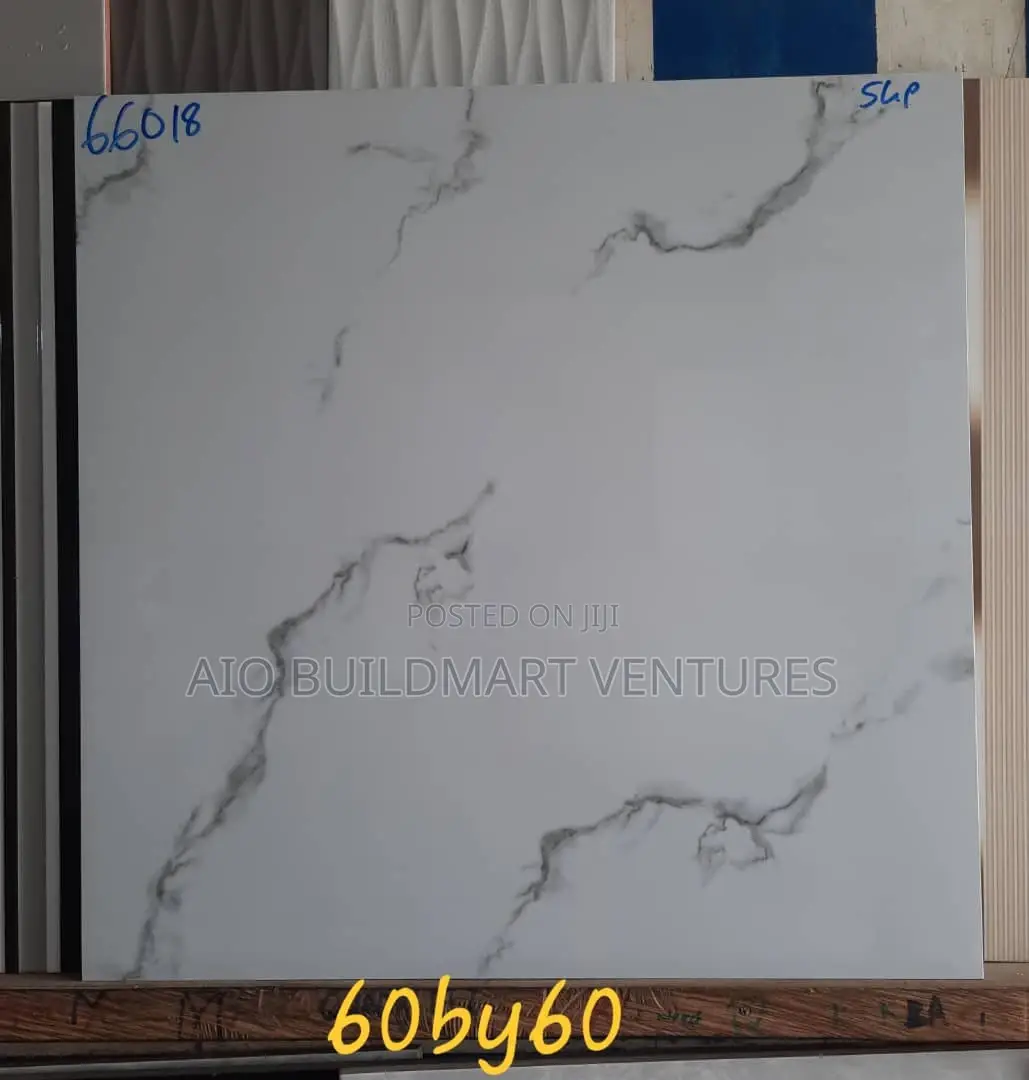 60 X 60 Polish Floor Tiles