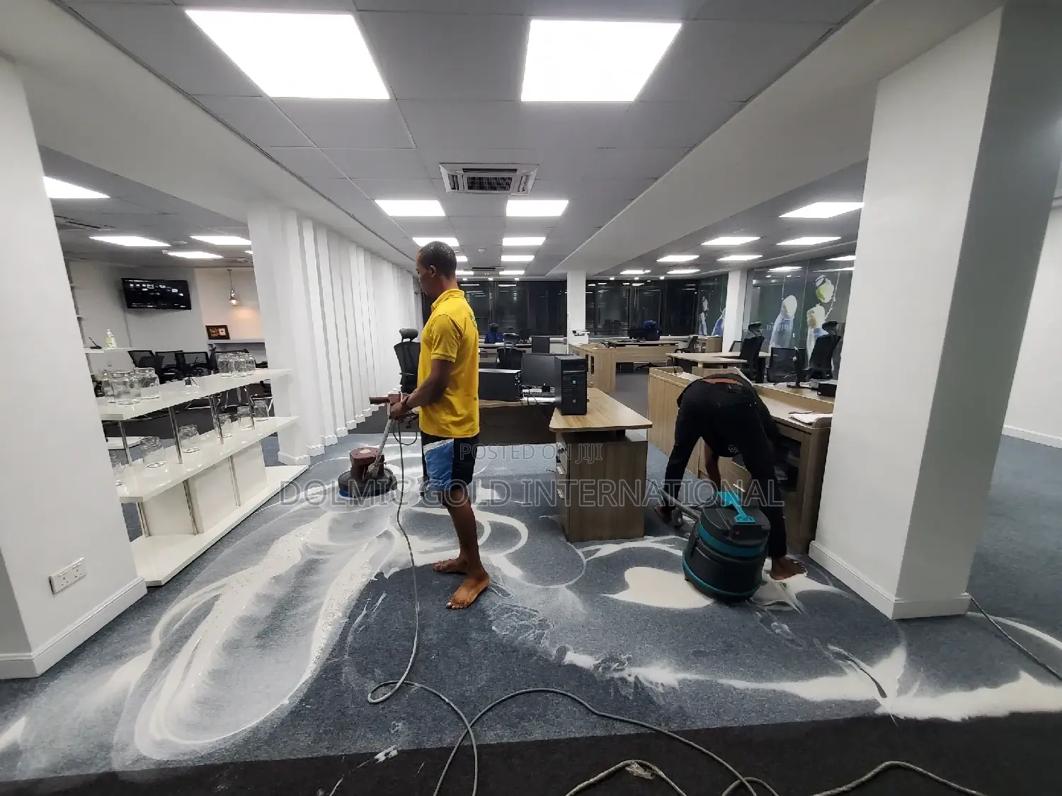 Rug and Carpet Cleaning Services Expert