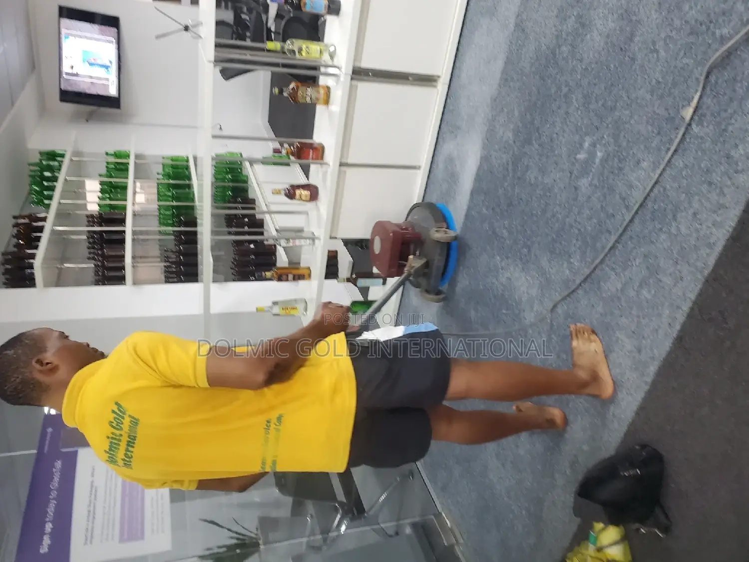 Carpet and Rug Cleaning Professionals