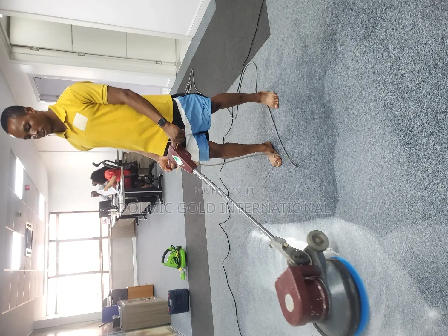 Carpet and Rug Cleaning Professionals