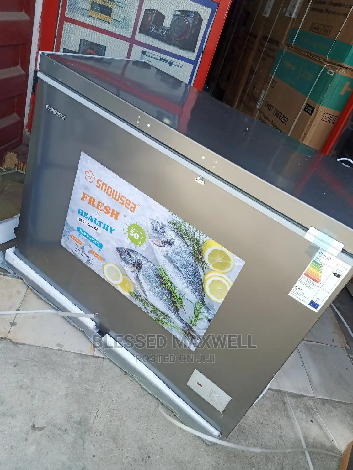 (BD 370G)Snowsea Chest Freezer 240L