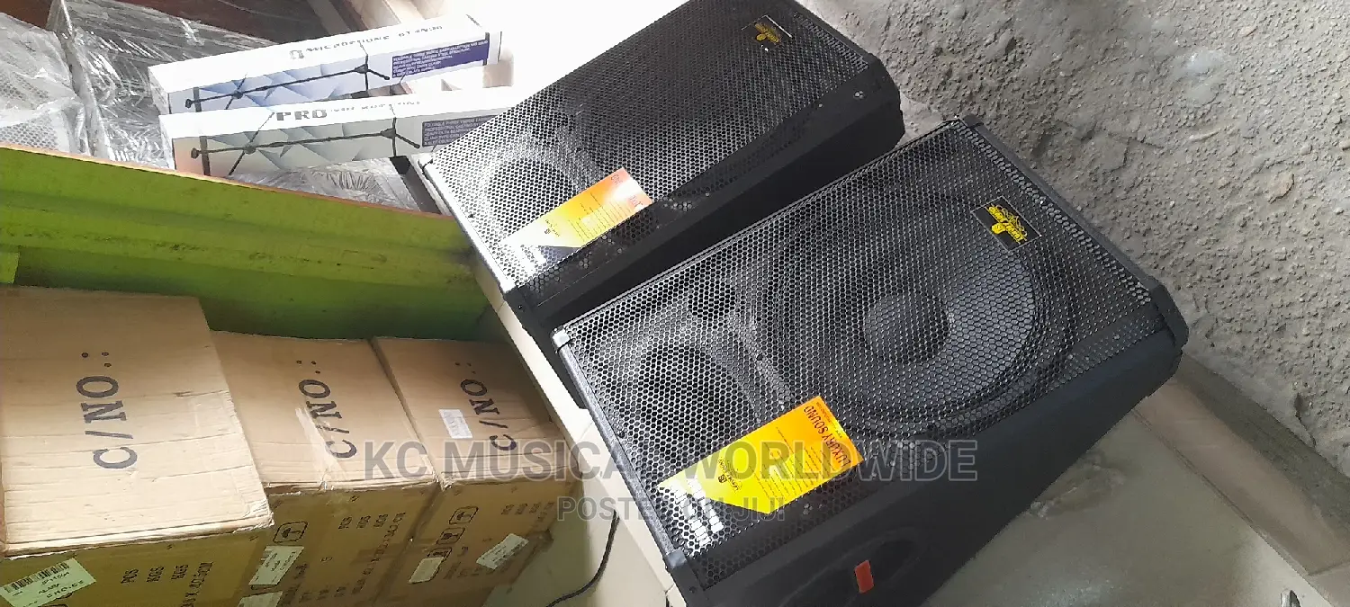 Quality Stage Monitor Speaker