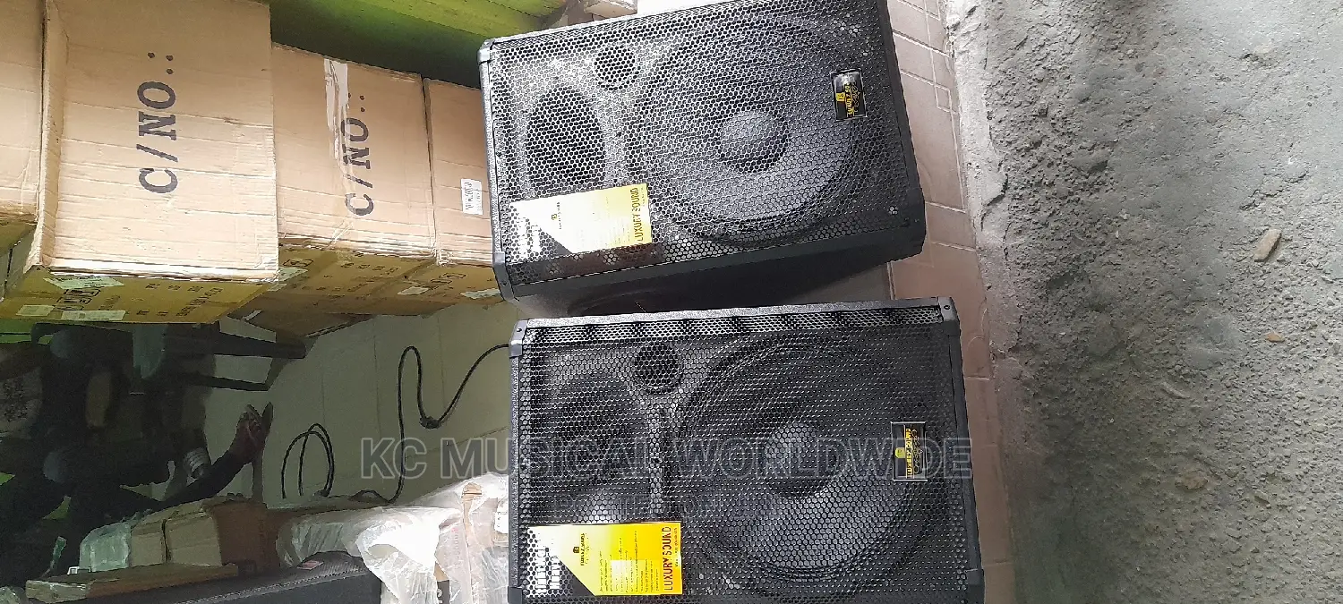 Quality Stage Monitor Speaker