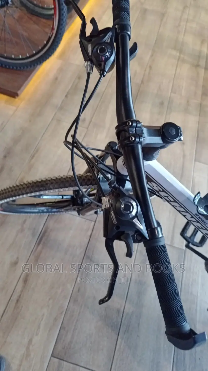Double Shock Absorber Foldable Adult Bicycle