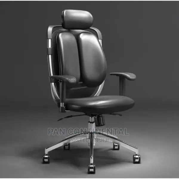 Brand New Lumbar Support Kidney Chair