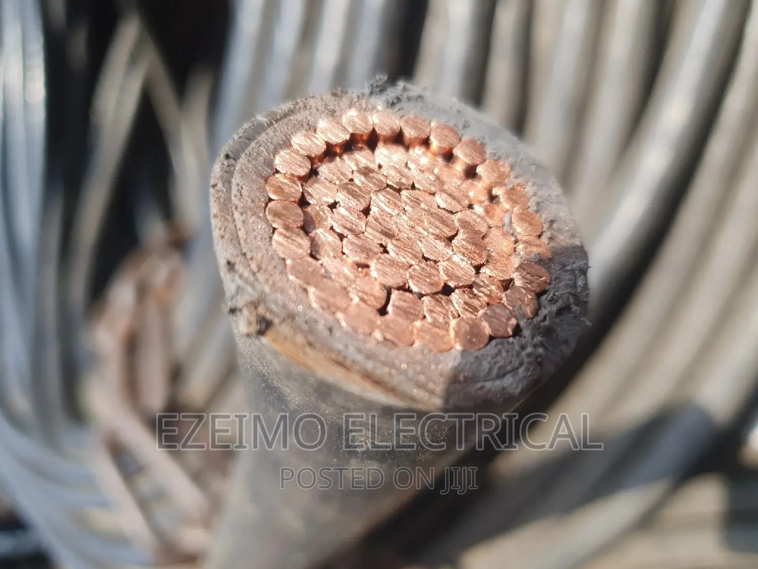 500mm 1xcore PVC PVC Cable