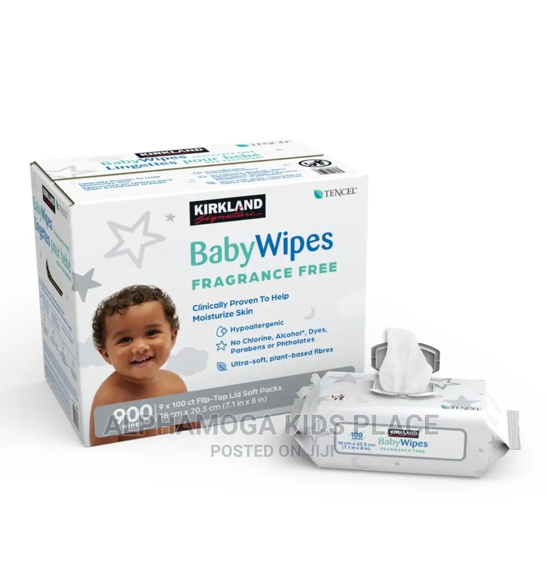 Kirkland Signature Wipes