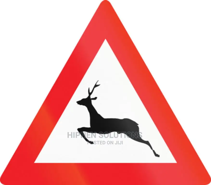 Wild Animals For Safety Awareness
