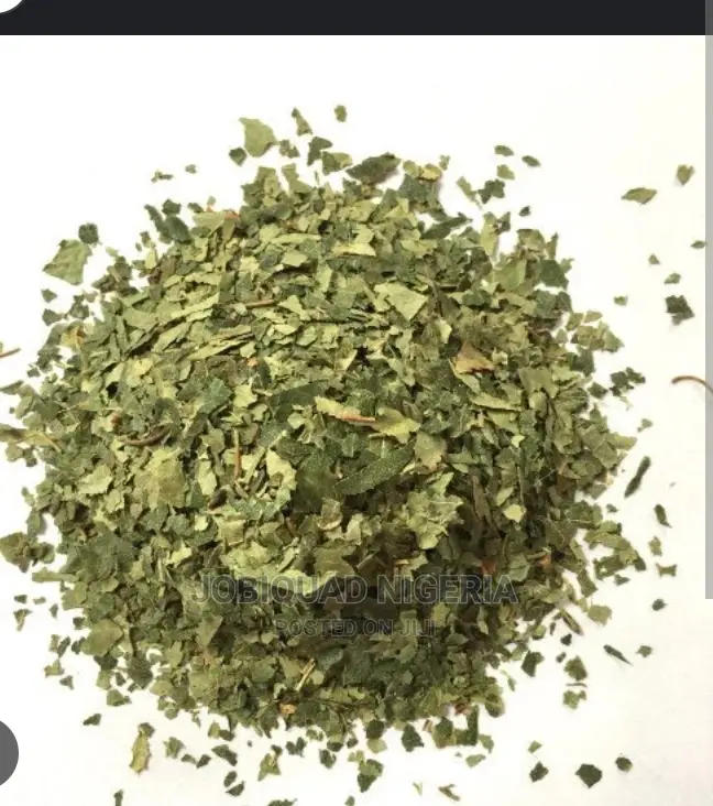 Birch Dried Leaf Known as Betula Alba or Betula Pendula 250g