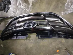 Front Grill Sonata 2012 Belgium
