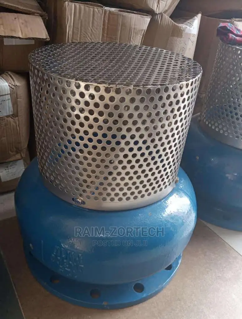 Flange Cast Iron Foot Valve