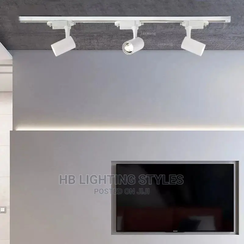 LED Ceiling Light
