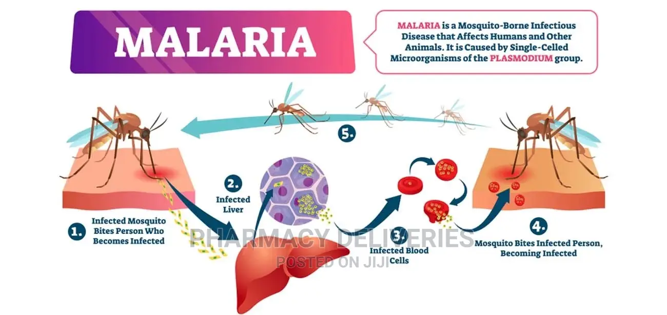 Daily Malaria And Typhoid Treatments Services Available