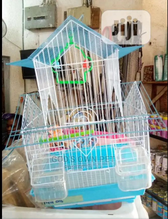 Foreign Cage for You Canary and Love Birds