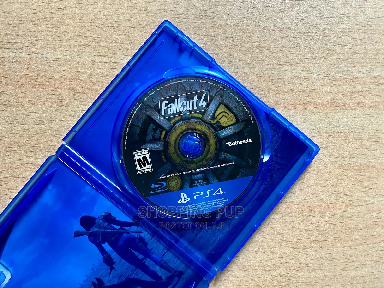 Fallout 4 (Ps4)
