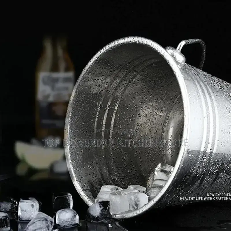 Stainless Steel Ice Bucket