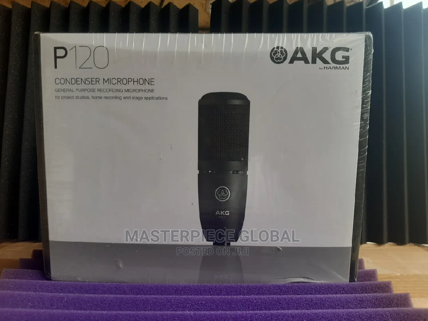 Akg P120 Condenser Mic