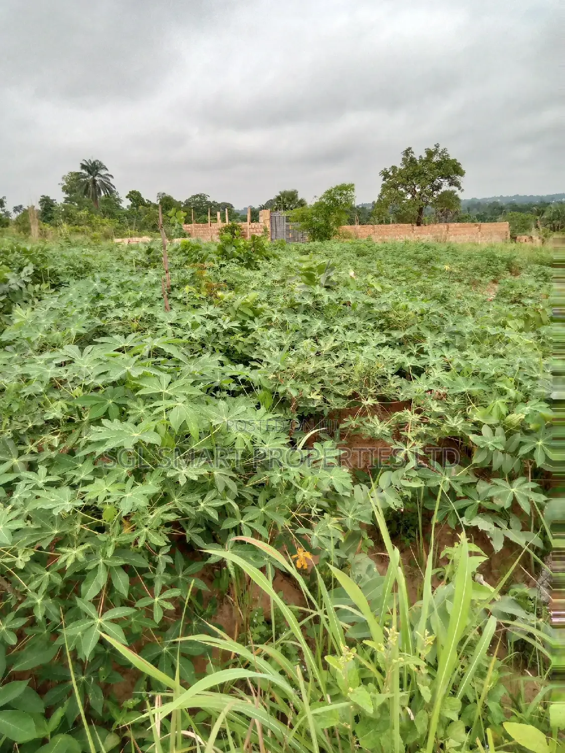 2 Plots of Land for Sale at ISU