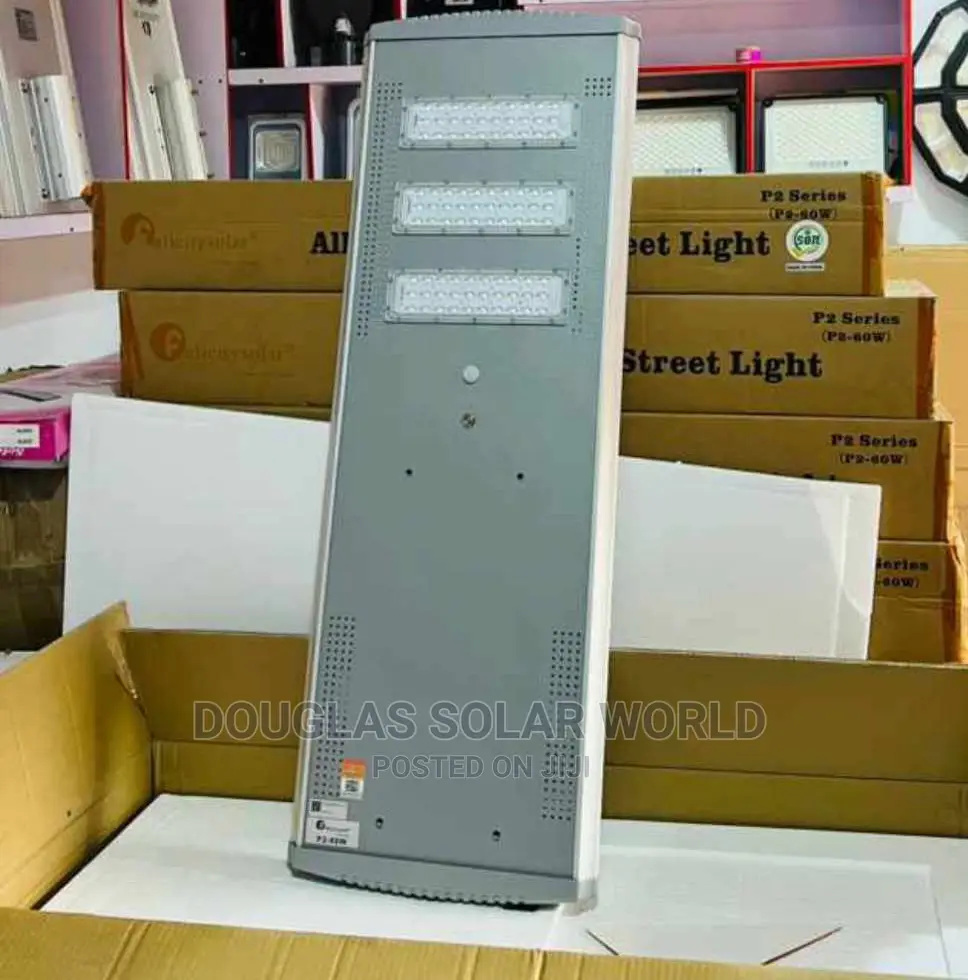 P2 60w Felicity Solar Street Light