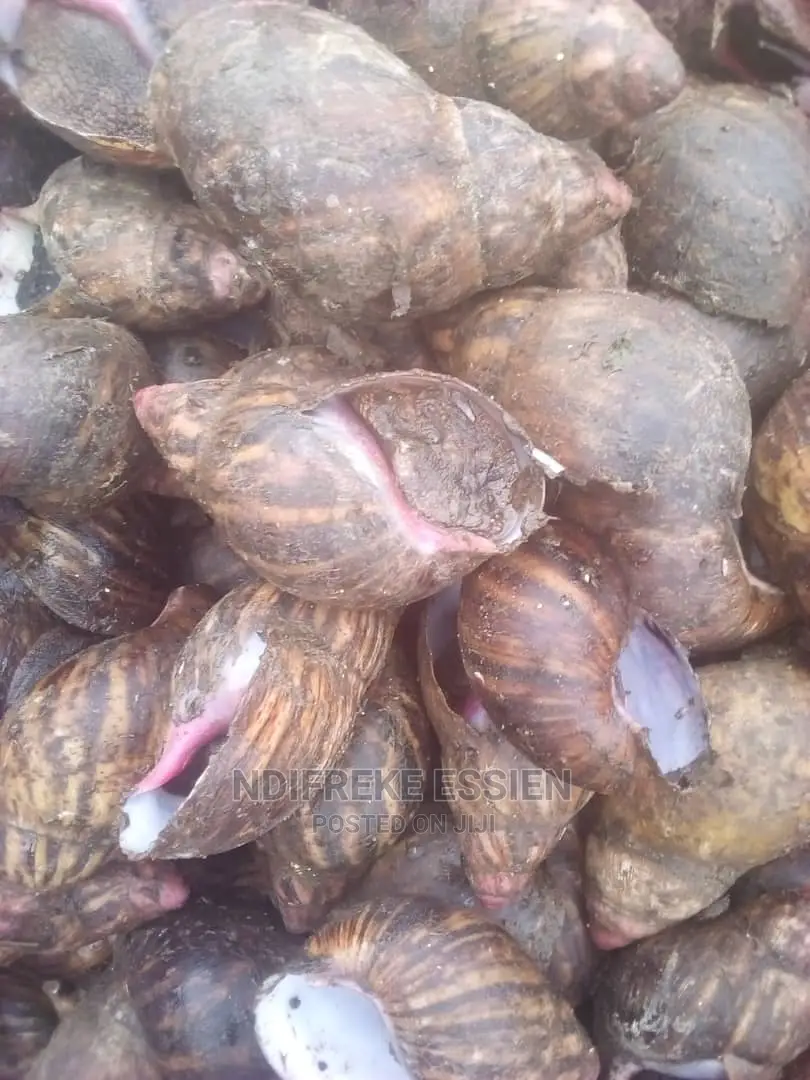 Quality Snails