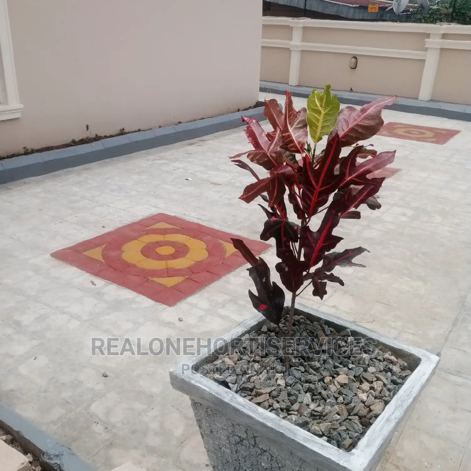 Concrete Flower Pot