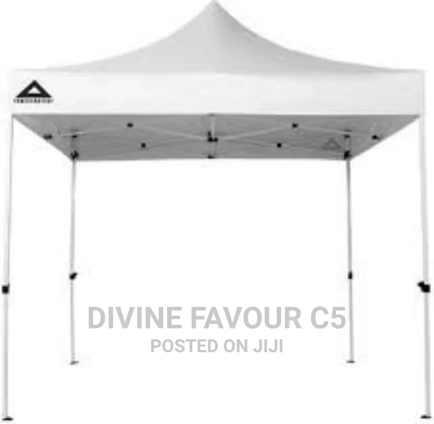 10x10 Foldable Canopy Tent