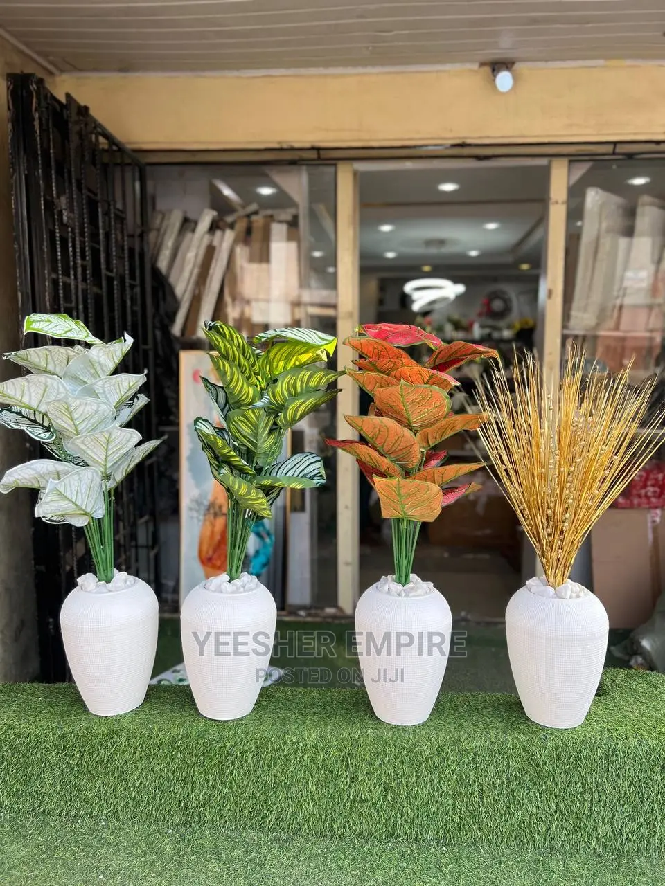 Lovely Potted Flowers