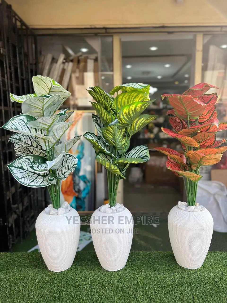 Lovely Potted Flowers