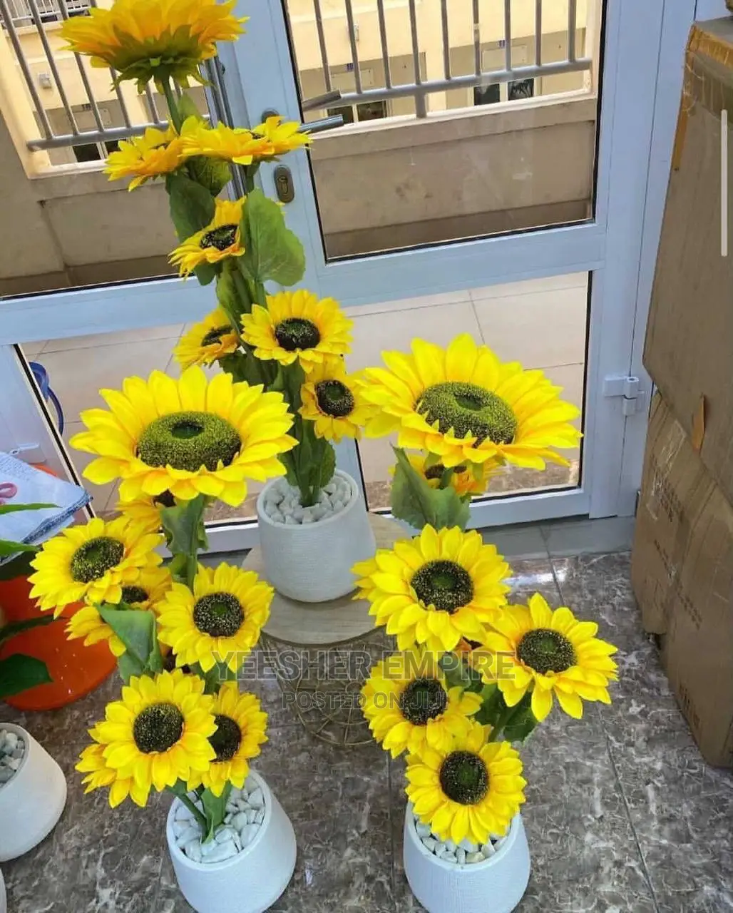 Sun Flower Potted Plant