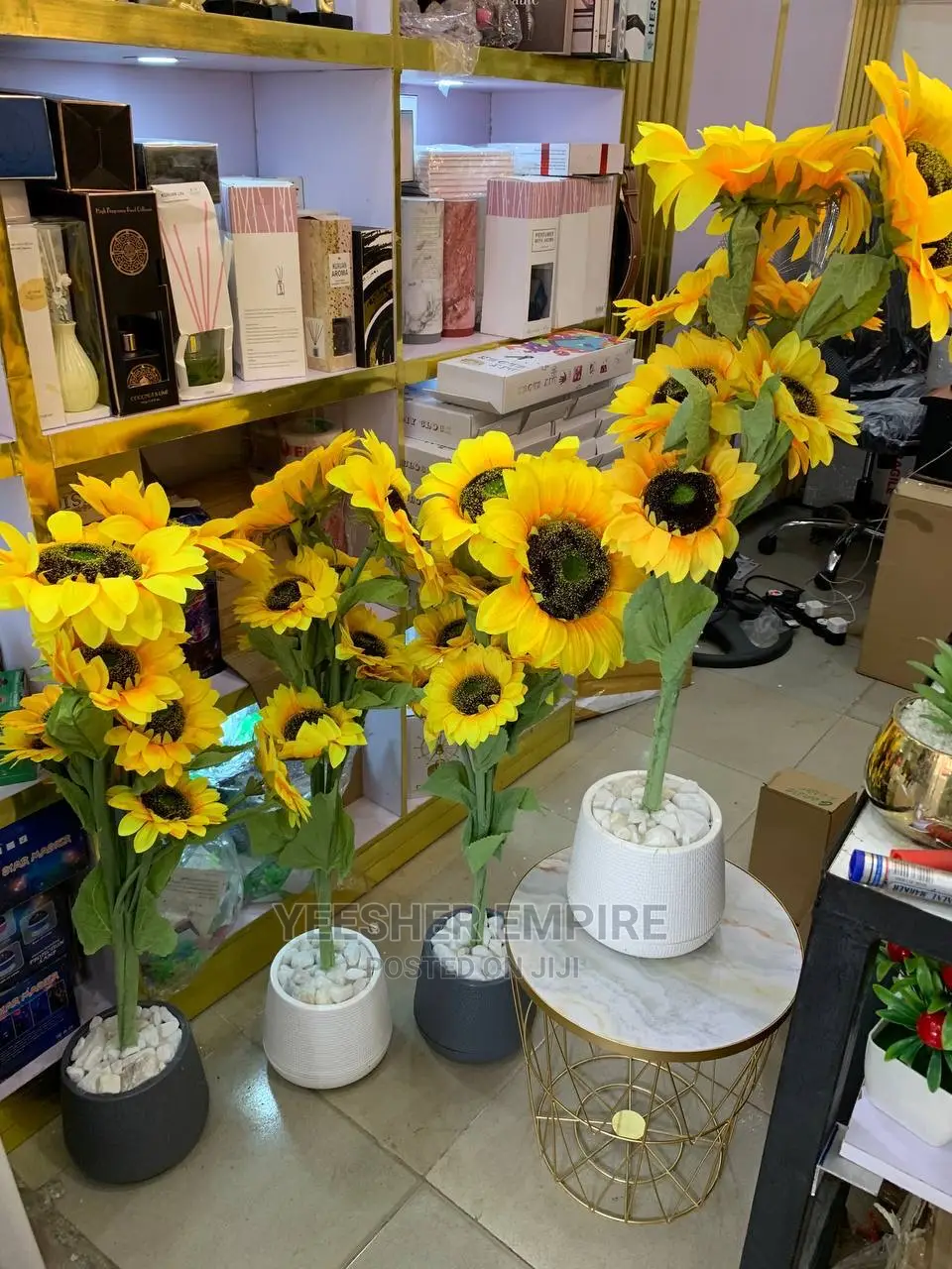Sun Flower Potted Plant