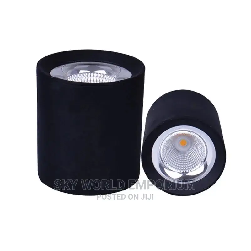 10w Cob Spot Light