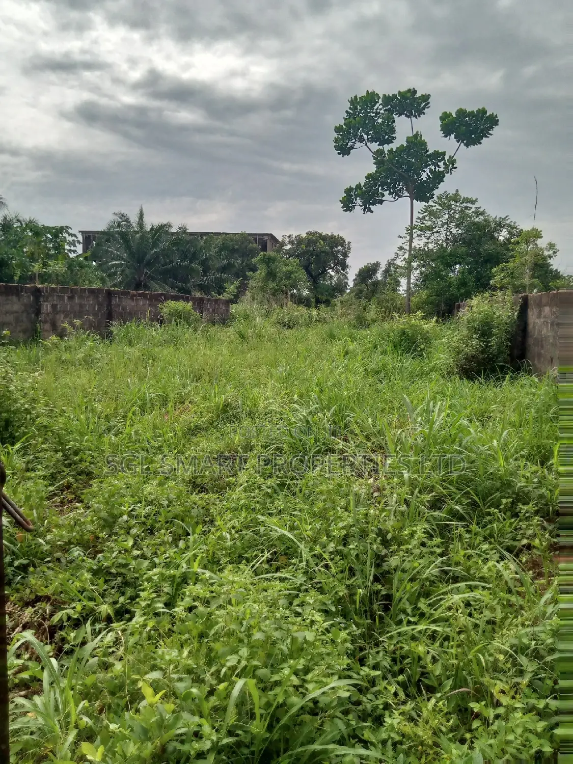 2 Plots of Land at Ifite Close to Miracle Junction